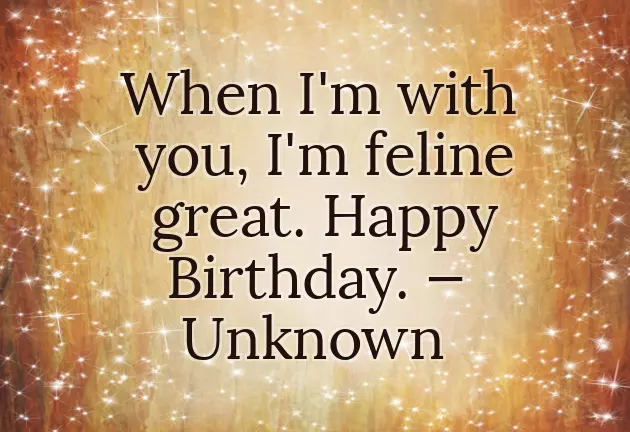Birthday Wishes For Cat