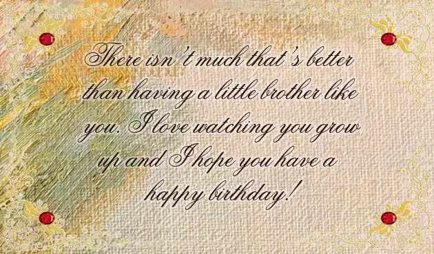 Birthday Wishes For Little Brother Quotes
