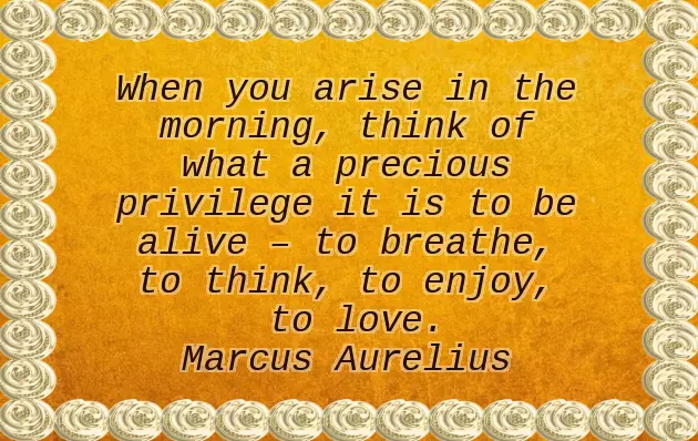 Good Morning Friendship Good Morning Friendship