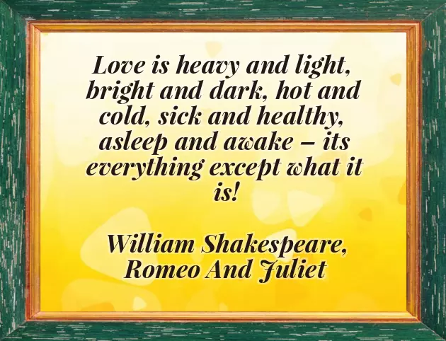 Light In The Dark Quotes