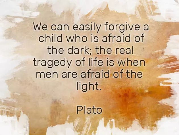 Light In The Dark Quotes