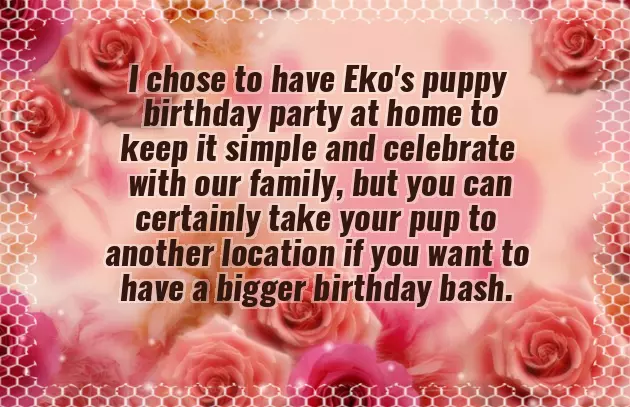 Happy Birthday Dachshund