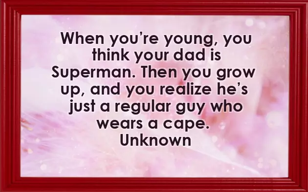 Happy Birthday Appa Quotes