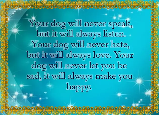 Congratulations On Your New Pet