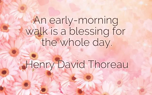 Good Morning Message To You My Love Good Morning Message To You My Love