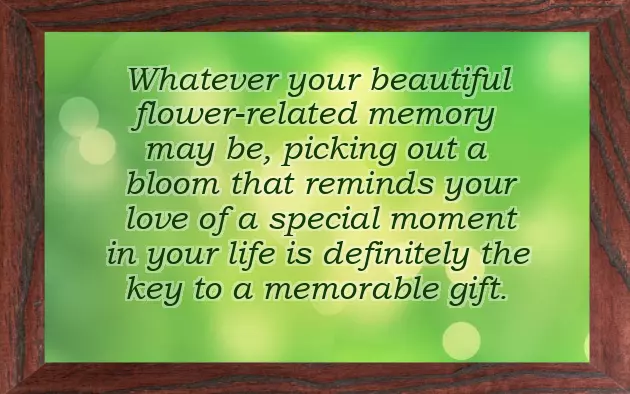 Golden Wedding Anniversary Rose