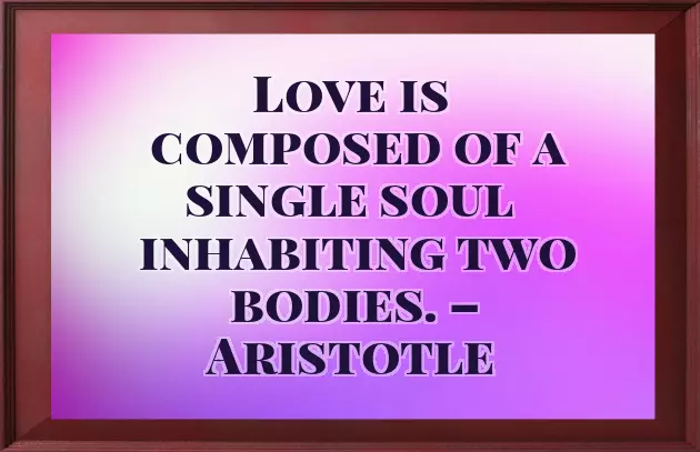 Happy Valentines Day Brother Funny