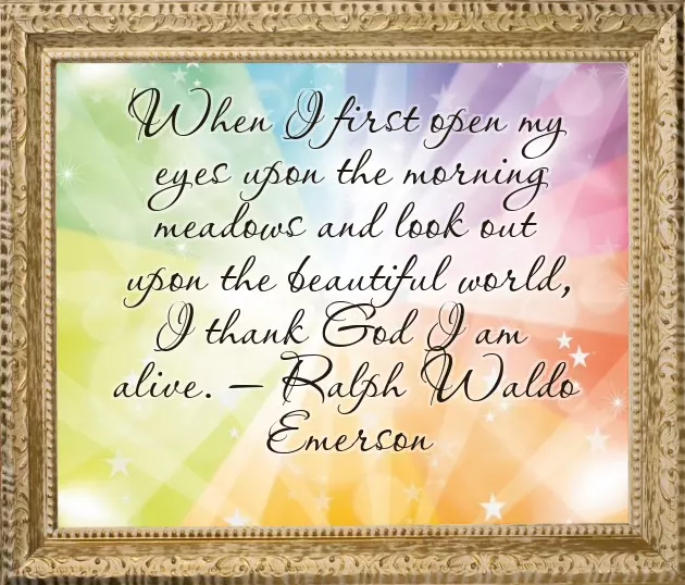 Sweet Good Morning Message To My Husband