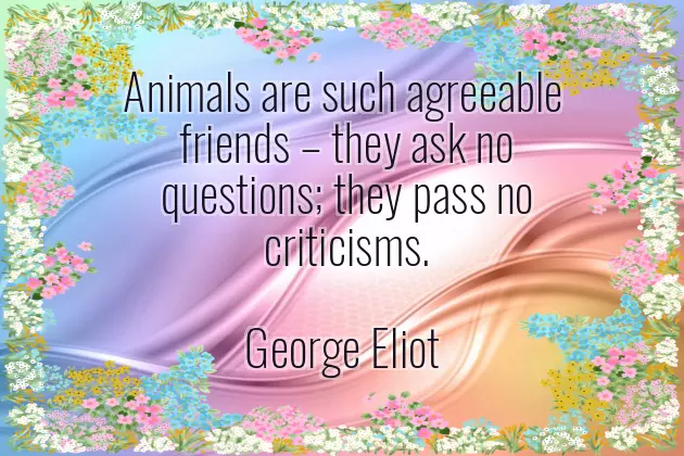 Original Quotes Original Quotes