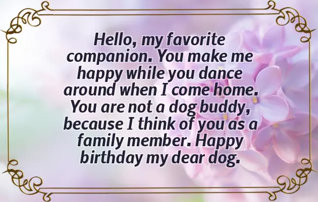 Happy Birthday My Friend Gif Happy Birthday My Friend Gif