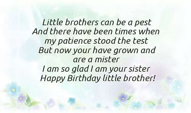 Happy Birthday Brother From Sister Funny Happy Birthday Brother From Sister Funny