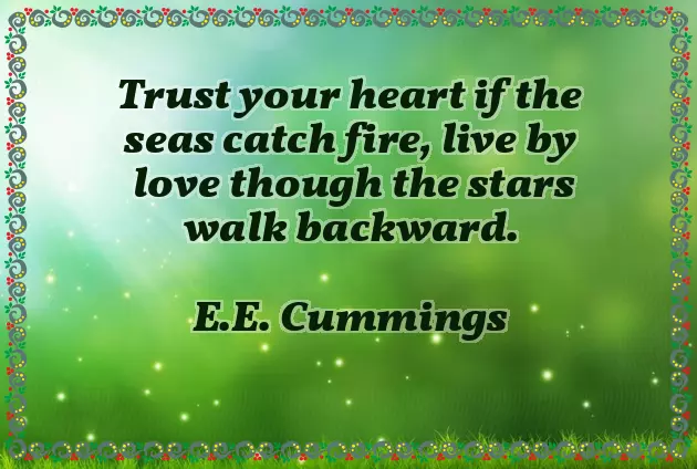 You Are A Star Quotes