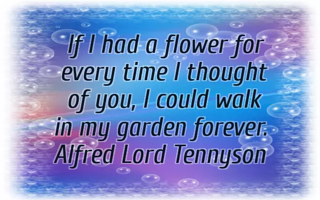 Morning Greetings To A Lover Morning Greetings To A Lover