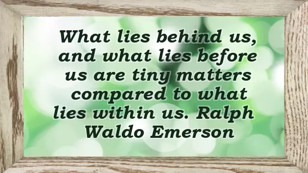 The Most Beautiful Bride Quotes