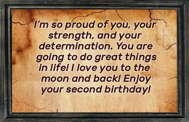 Happy 2Nd Birthday Niece Quotes