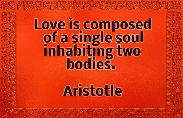 Cheesy Wedding Quotes