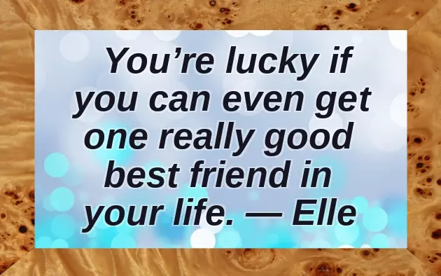 Quotes About Kissing Quotes About Kissing