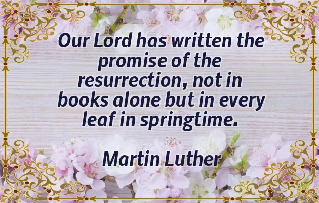 Funny Easter Messages Funny Easter Messages