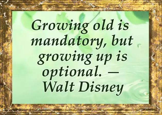 Birthday Quotes For Guys Birthday Quotes For Guys