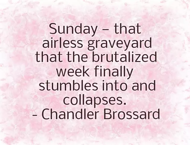 Funny Sunday Wishes Funny Sunday Wishes