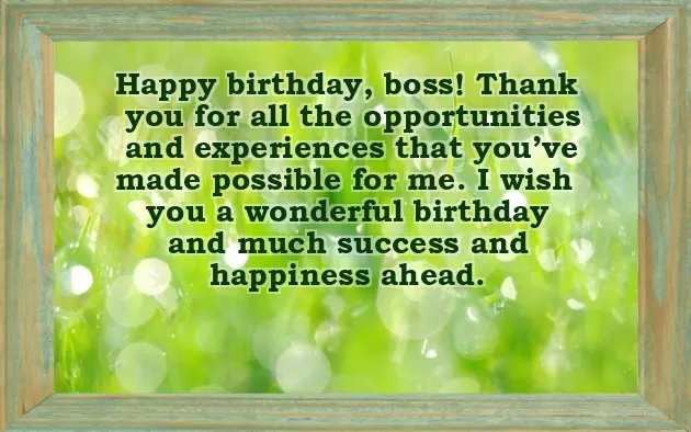 Happy Birthday Message To Boss