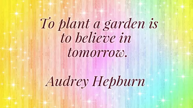 Special Easter Wishes Special Easter Wishes