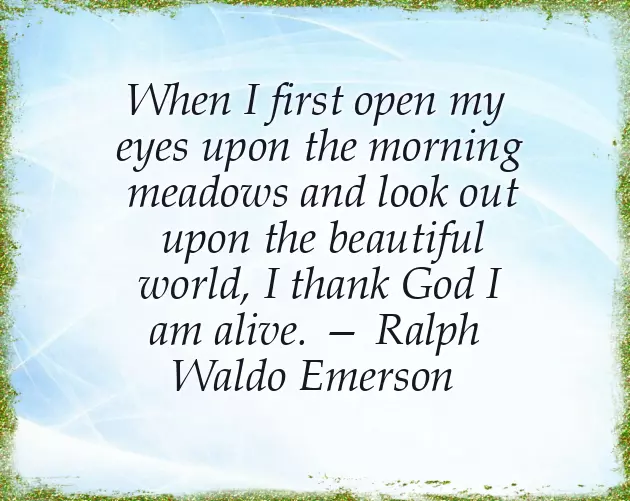 Sweet Good Morning Message To My Lovely Wife