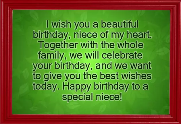 Happy Birthday To My Lovely Niece