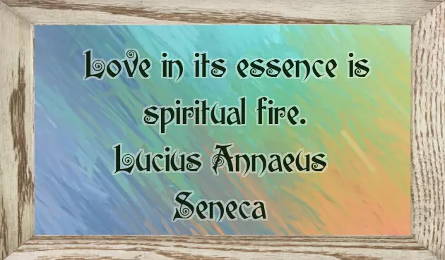 Good Night My Wife Good Night My Wife