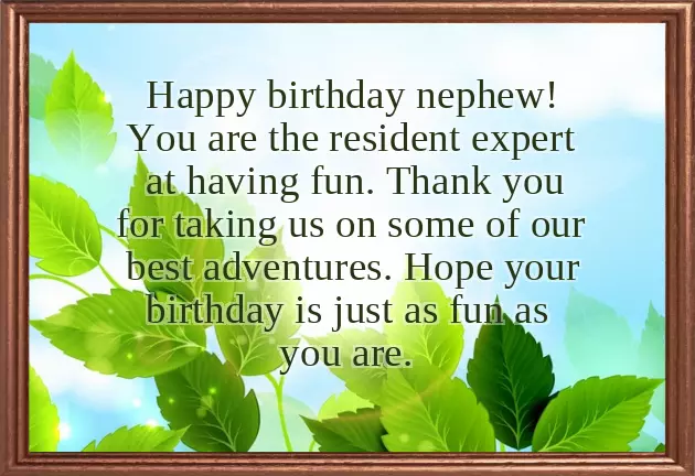Birthday Wishes For My Nephew