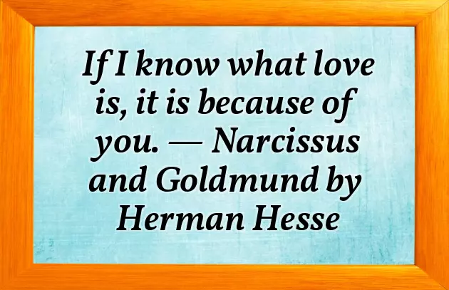 Marriage Congrats Quotes