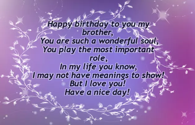 Funny Happy Birthday Brother Poems From Sister