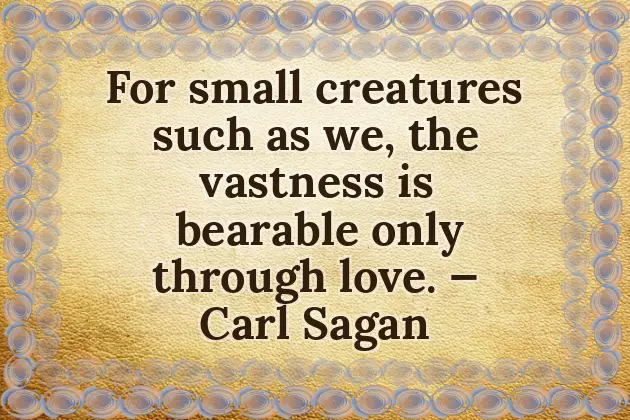 Birthday Quotes From Husband To Wife Birthday Quotes From Husband To Wife