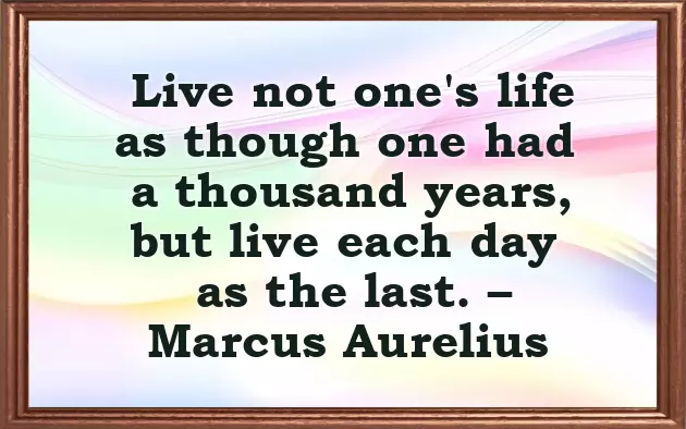 Happy Birthday Sapna Happy Birthday Sapna