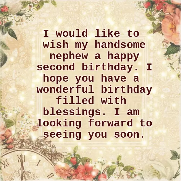 Funny Birthday Nephew