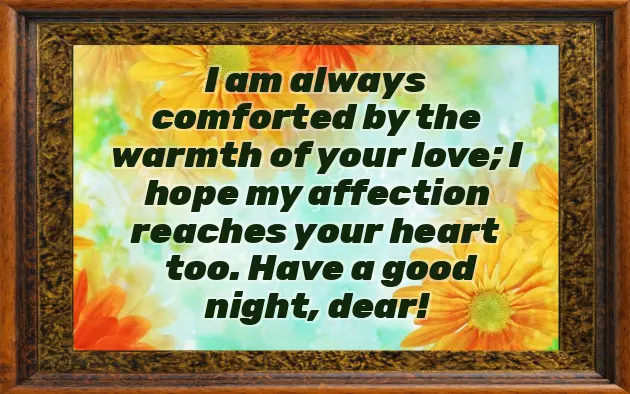 Good Night My Good Night My