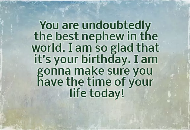 Birthday Wishes To Nephew From Uncle