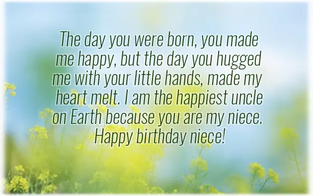Happy Birthday To My Niece Funny Quotes Happy Birthday To My Niece Funny Quotes