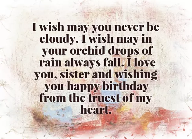 Best Birthday Wishes From Sister To Brother Best Birthday Wishes From Sister To Brother