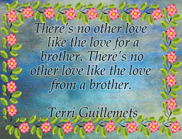 Only Brother Birthday Wishes