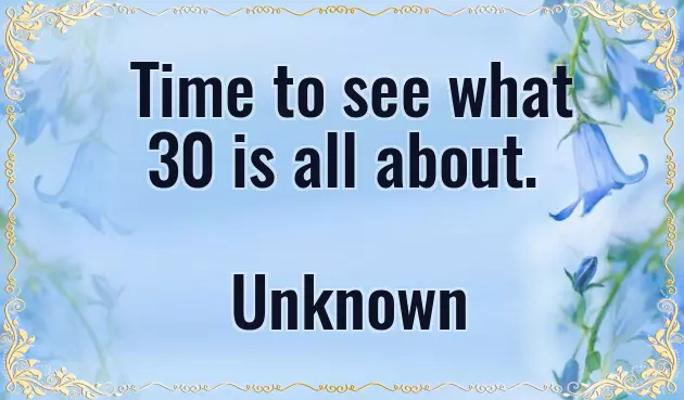 Funny 30Th Birthday Quotes
