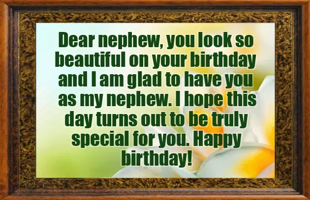 Happy Birthday To My Dear Nephew
