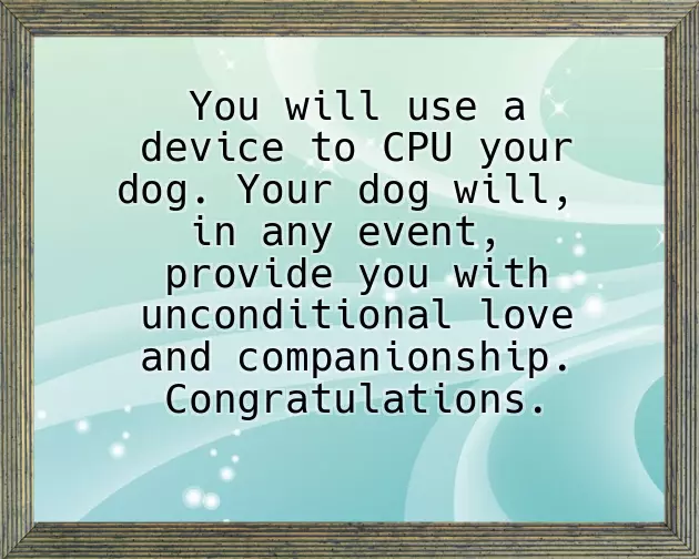 Congratulations On New Dog Congratulations On New Dog