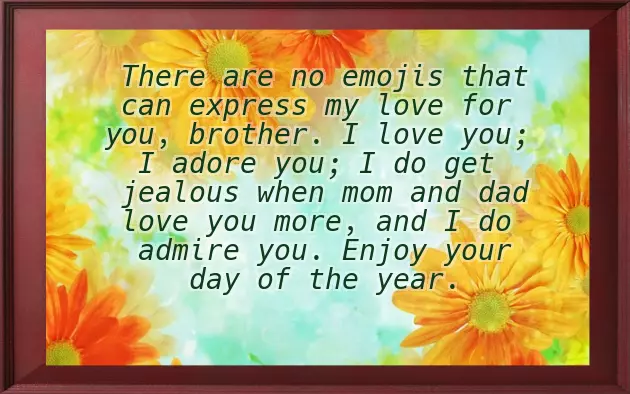 Brother Birthday Wishes Big Brother