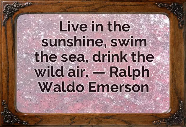 Summer Quote Summer Quote