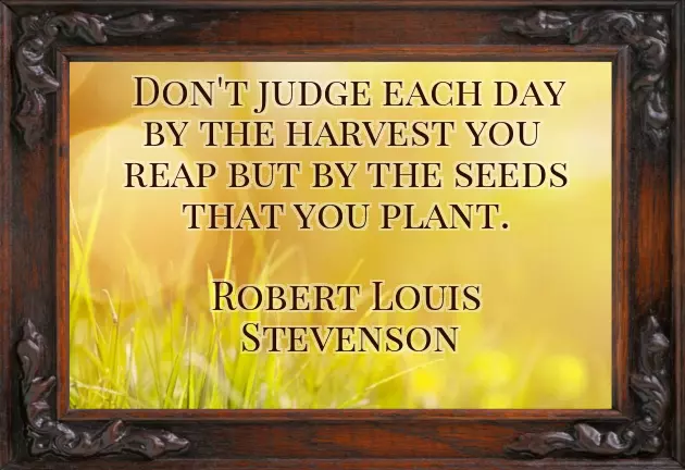 Good Morning Wishes On Tuesday