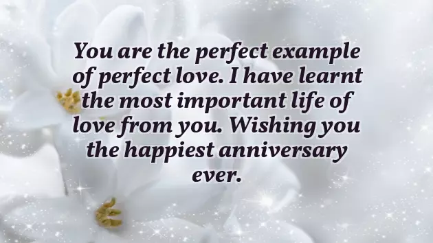 45Th Anniversary Wishes For Parents