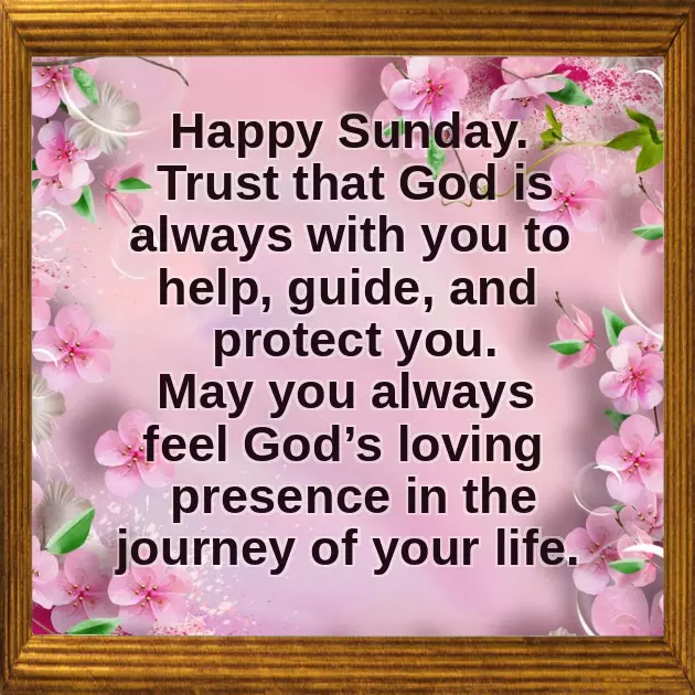 Good Morning Happy Sunday Hd Good Morning Happy Sunday Hd