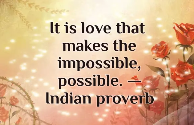 Before Marriage After Marriage Quotes