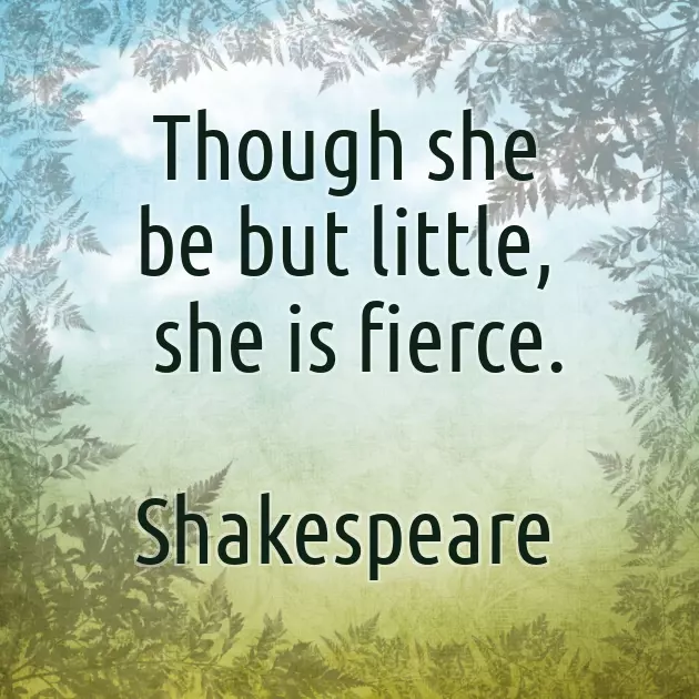 Funny Wishes For New Parents